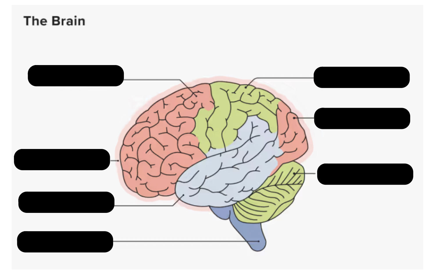 <p>Label the parts</p>