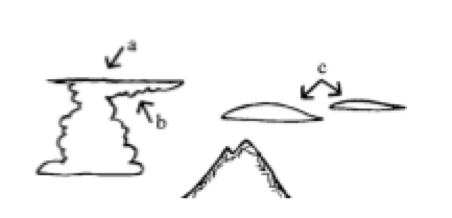 <p><span>The cloud feature labeled “a” is:</span></p>