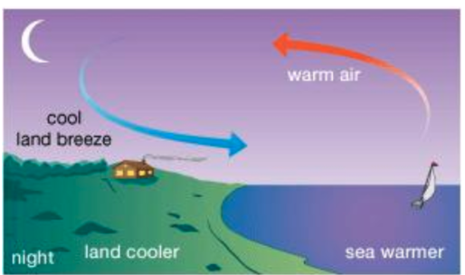 <ul><li><p>opposite of sea breeze, this occurs at night</p></li><li><p>sea is warmer, land is colder</p></li><li><p>cool breeze from the land is called land breeze</p></li></ul><p></p>