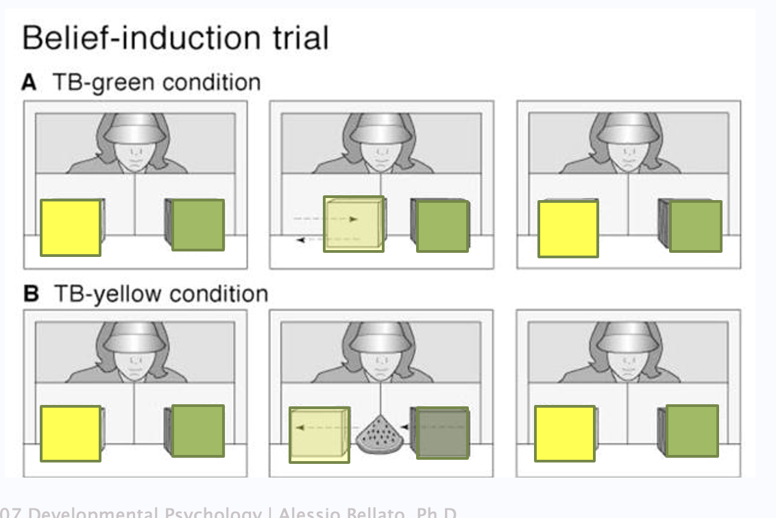 <p><strong>belief induction trial </strong></p><p><strong>Then,</strong> the infants witnessed a change that resulted in the actor holding a true or a false belief about the toy’s location.</p><p>A: after putting toy in green box they saw the yellow box move right and then back to original possition. toy still in green box and child ovserved this to be true.</p><p>B: actor moved toy from green to yellow box. baby observed this. relaity of baby is the same as reality of actor.</p>