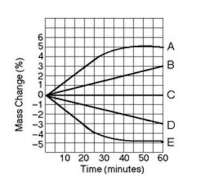 <p><span style="line-height: 1.5;">28. Five dialysis bags, constructed of a type of membrane that is permeable to water and impermeable to sucrose, were filled with various concentrations of sucrose and then placed in separate beakers containing an initial concentration of 0.6 M sucrose solution. At 10-minute intervals, the bags were massed (weighed), and the percent change in mass of each bag was graphed. Observe the graph below.<br></span></p><p><span style="line-height: 1.5;">Which line in the graph represents the bag that contained a solution isotonic to the 0.6 M solution at the beginning of the experiment?</span></p><p><span style="line-height: 1.5;">A. A</span></p><p><span style="line-height: 1.5;">B. B</span></p><p><span style="line-height: 1.5;">C. C</span></p><p><span style="line-height: 1.5;">D. D</span></p>