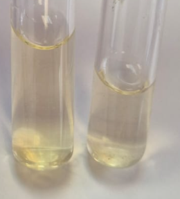 <p>que prueba es DERECHA </p>