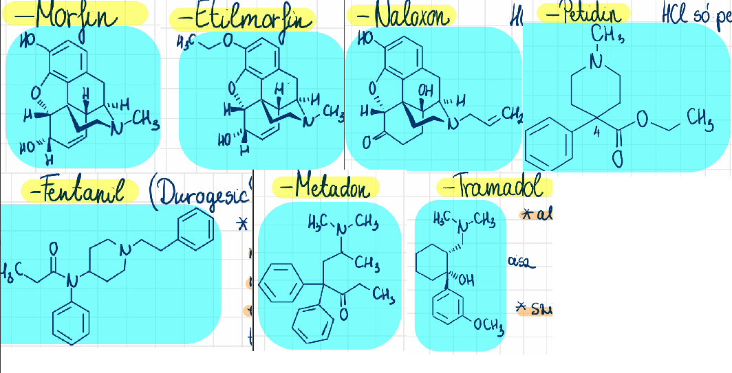 <p>morfin <br>etilmorfin <br>petidin <br>metadon <br>fentanil (Durogesic) <br>tramadol (Contramal) <br>naloxon (Nexodal)</p>