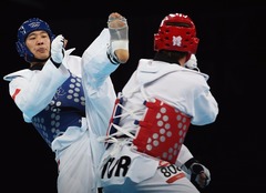 <p>Taekwondo</p>