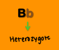 <p><strong>Genotypes (__ __ (pair of alleles))</strong></p><ul><li><p>_________: an individual prossessing two <strong><em><u>different </u></em></strong>alleles at a locus </p></li></ul><p></p>