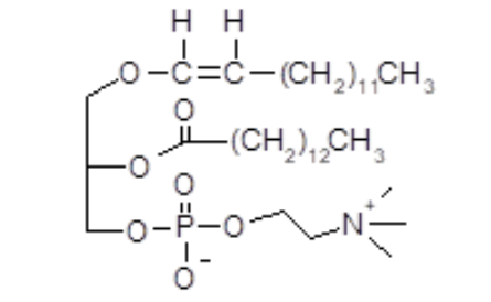 <p>What type is it? </p>