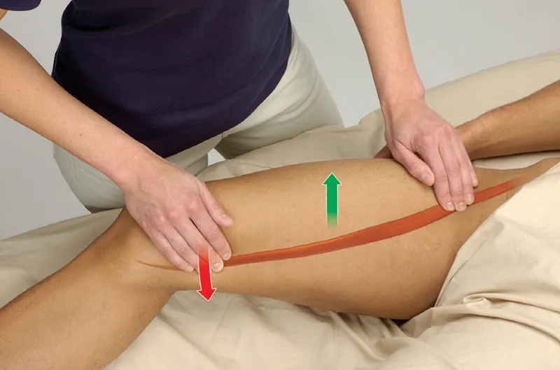 <p>o: anterior superior iliac spine</p><p>ins: proximal medial surface of tibia, below tuberosity</p><p>a: knee flexion and internal rotation</p><p>inn: femoral (L2, L3, L4)</p>