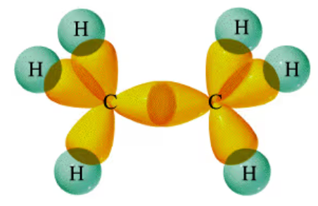 <p><strong>25% s and 75% p</strong></p><ul><li><p>C=C bond formed by sp²-sp² overlap</p></li><li><p>C-H bond formed by sp³-s overlap</p></li></ul><p></p>