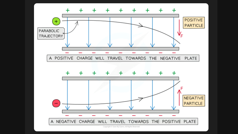 <p>it follows a parabolic trajectory</p>