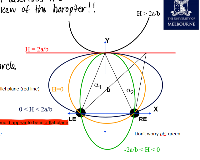 <p>The horopter is <strong>convex </strong>toward the observer.</p>