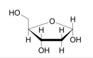 <p>Desoxyribose</p>