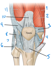 <p>4</p>