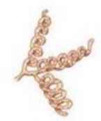 <p>What streptomyces spore-bearing structure is this?</p>