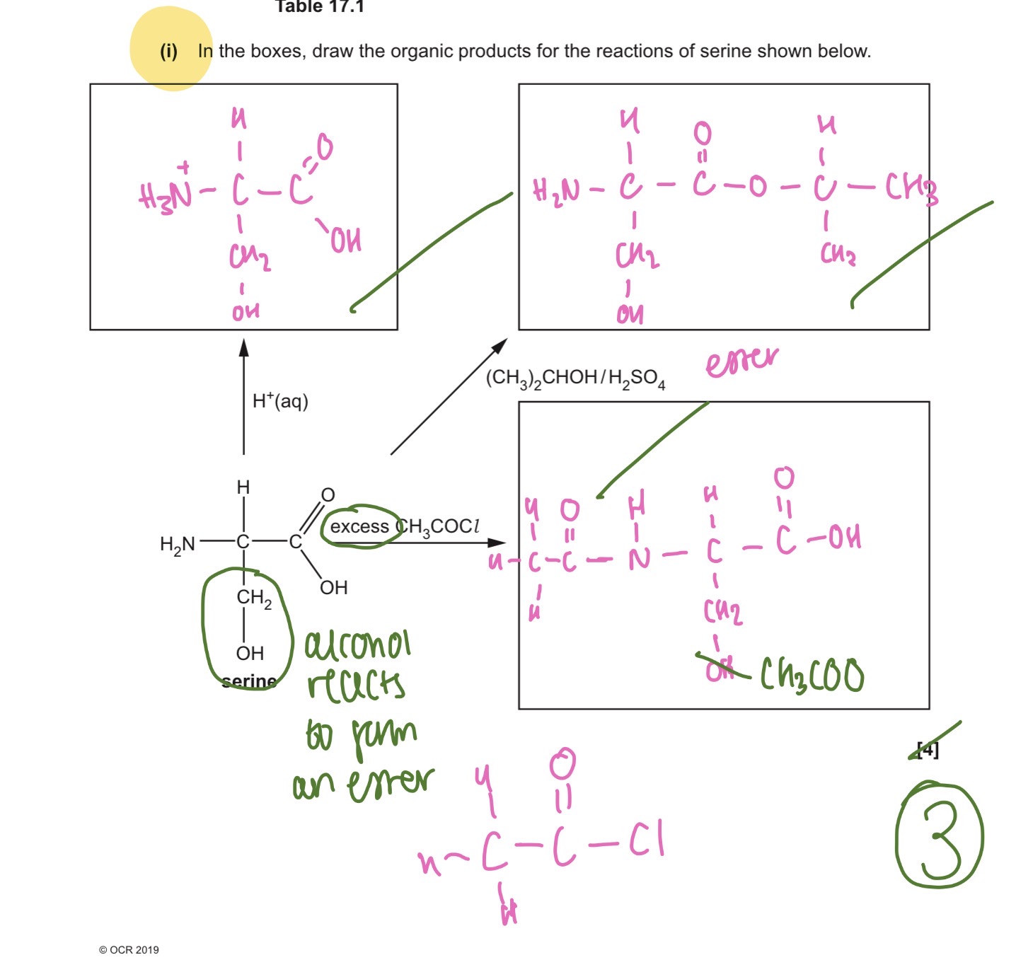 knowt flashcard image