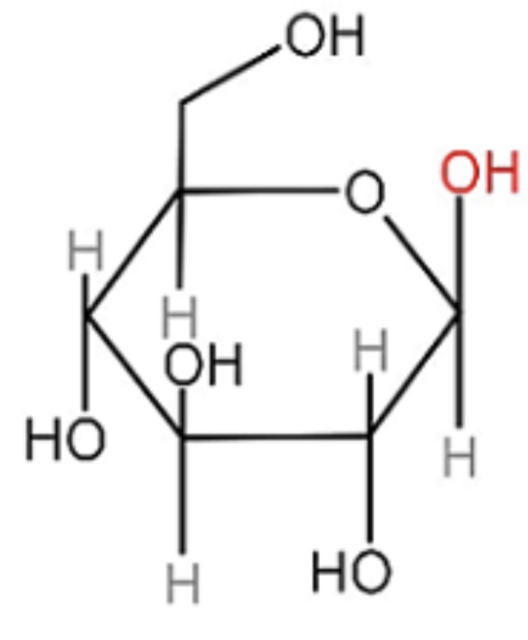 <p>Identify this.</p>