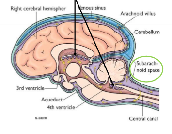 <p>Vad pekar pilarna på, funktion? I vad?</p>