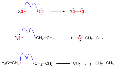 <p></p><p>products: stable product (halogenated)</p>