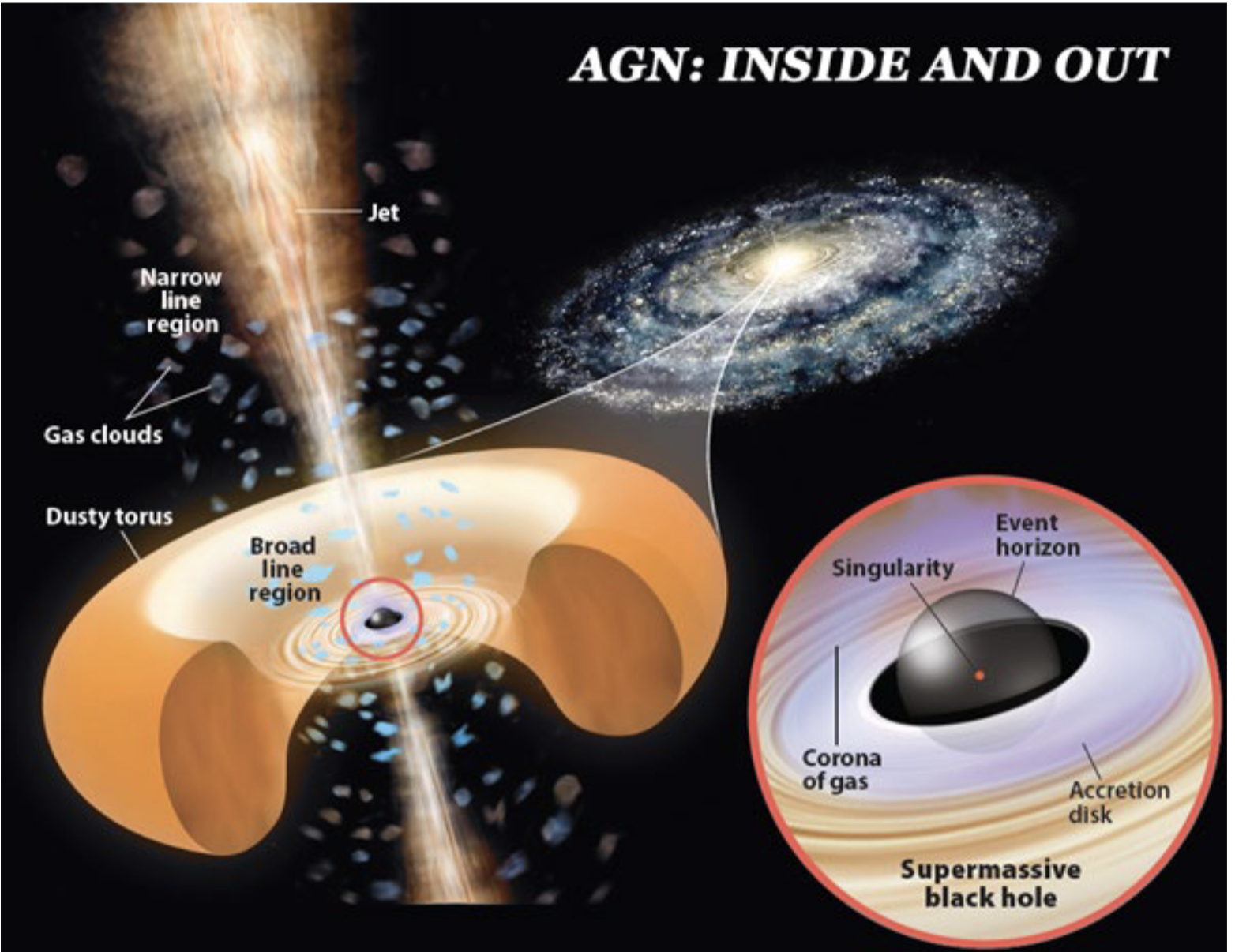 <p>Radio jets extend for millions of lightyears. X-ray jets extend for thousands of lightyears. They both extend perpendicularly outwards from the accretion disk containing active galactic nuclei and/or young stars.</p>