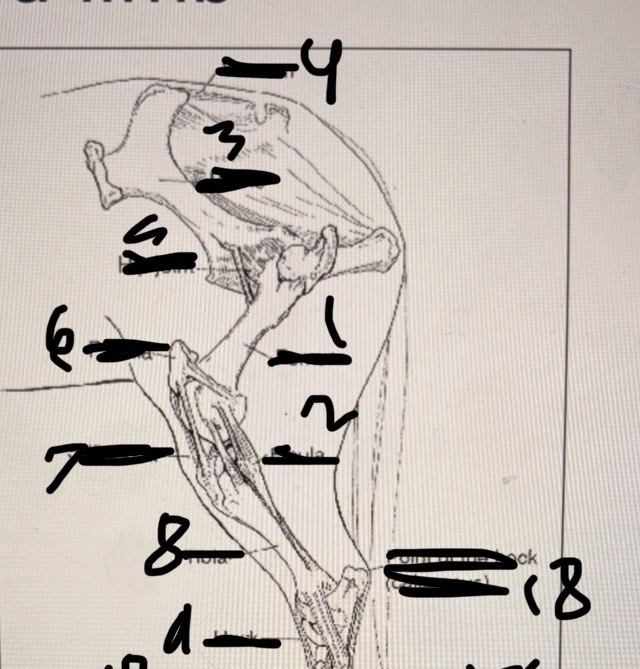 <p>9</p>