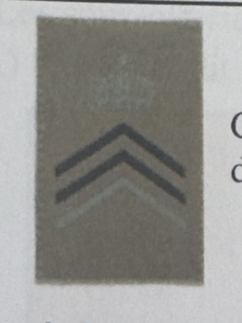 <p>Grade de fonction </p>