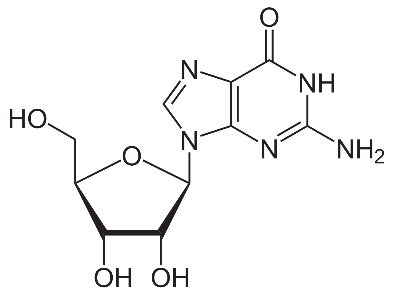 <p>name this nucleoside</p>
