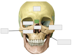 <p>This is the</p>