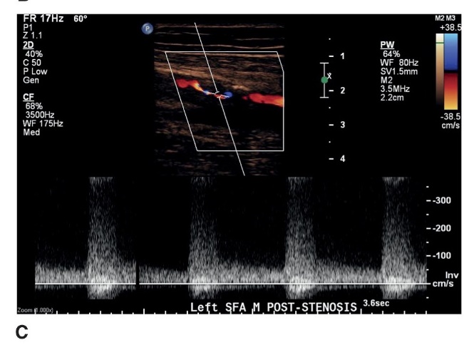 <p>what does this image represent </p>