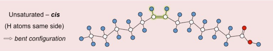 <p>An <span>unsaturated fatty acid</span> where the adjacent hydrogen atoms are on the <strong>same side</strong> of the carbon-carbon double bond</p><ul><li><p>They cannot be packed tightly</p></li><li><p>Liquid at room temp</p></li><li><p>Are bent</p></li></ul><p></p>
