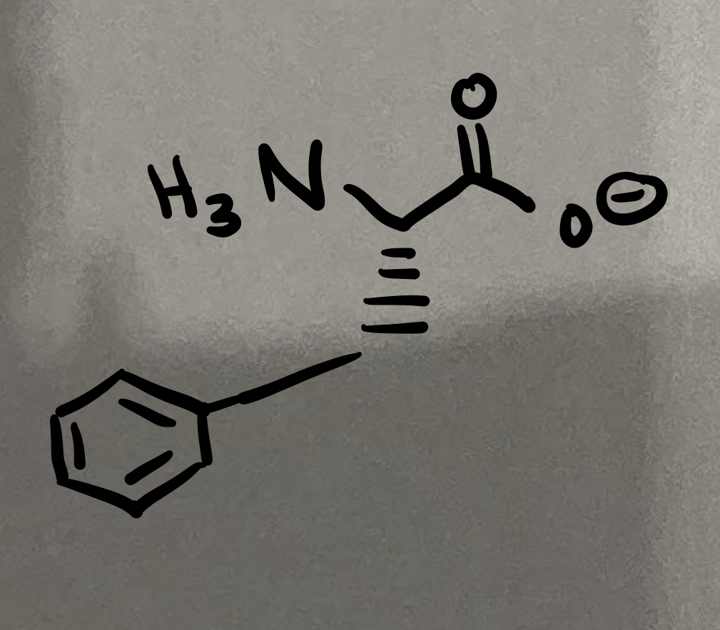 <p>Aromatic amino acids - conjugated, unsaturated benzene rings</p>