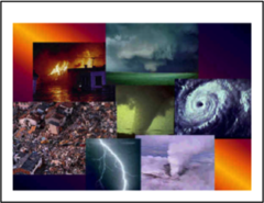 <p>factor unrelated to population density that limits a population (natural disasters: fire, flood, mudslides)</p>