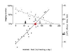 <p>In Graph 3 with the Kingfishers, the nestlings at Lake Naivasha received more food, gained more mass, and had a shorter begging duration than the nestlings at Lake Victoria...This is because...</p><p>We know nestlings at Lake Naivasha received more food because the White Arrow on the x-axis (Lake Naivasha) is above 85kJ and the Black Arrow on the x-axis (Lake Victoria) is below 85kJ. </p><p>85kJ is the amount of food needed to gain mass (red dot on the graph). If nestlings receive more than 85kJ a day, then they are able to gain mass.</p><p>We know that the begging duration decreased as the nestlings received more food (dashed line). </p><p>We know that nestlings at Lake Naivasha gained more body mass (White Arrow on the y-axis) than those at Lake Victoria (Black Arrow on y-axis)</p>