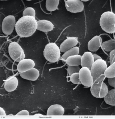 <p>What is this?</p>