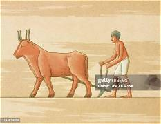 <p>The Plow</p>