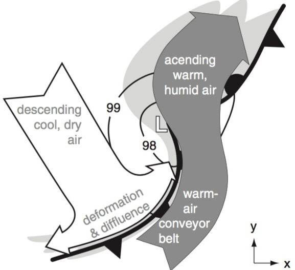 <ul><li><p>Behind cold front: descending cool, dry air</p></li><li><p>Ahead of cold front (in warm sector): warm air moves towards/over warm front</p><ul><li><p>This is the warm air conveyor belt</p></li></ul></li><li><p>Ascending warm, humid air: responsible for area of cloud cover ahead of warm front</p></li></ul><p></p>