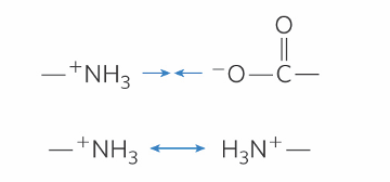 <ul><li><p>rare in aqueous solutions</p></li><li><p>not nearly as strong as covalent </p></li><li><p>either hold molecules together or repulse them</p></li></ul><p></p>