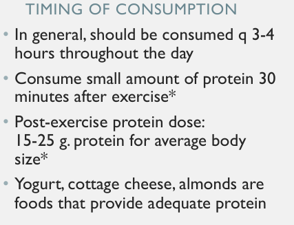 <p>maintains nitrogen balance and mucle mass </p><p>req for building and req body tissues </p><p>needed for protein hormone production </p><p>energy source </p>