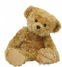 <p>el oso de peluche</p>