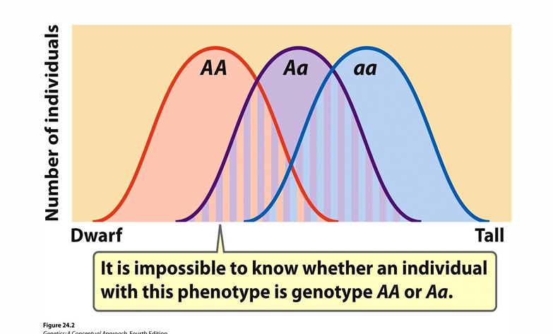 <p>What should you identify in the qualitative-versus-quantitative trait diagram?</p>