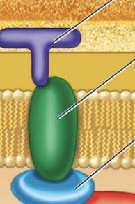 <p>What is this?</p>