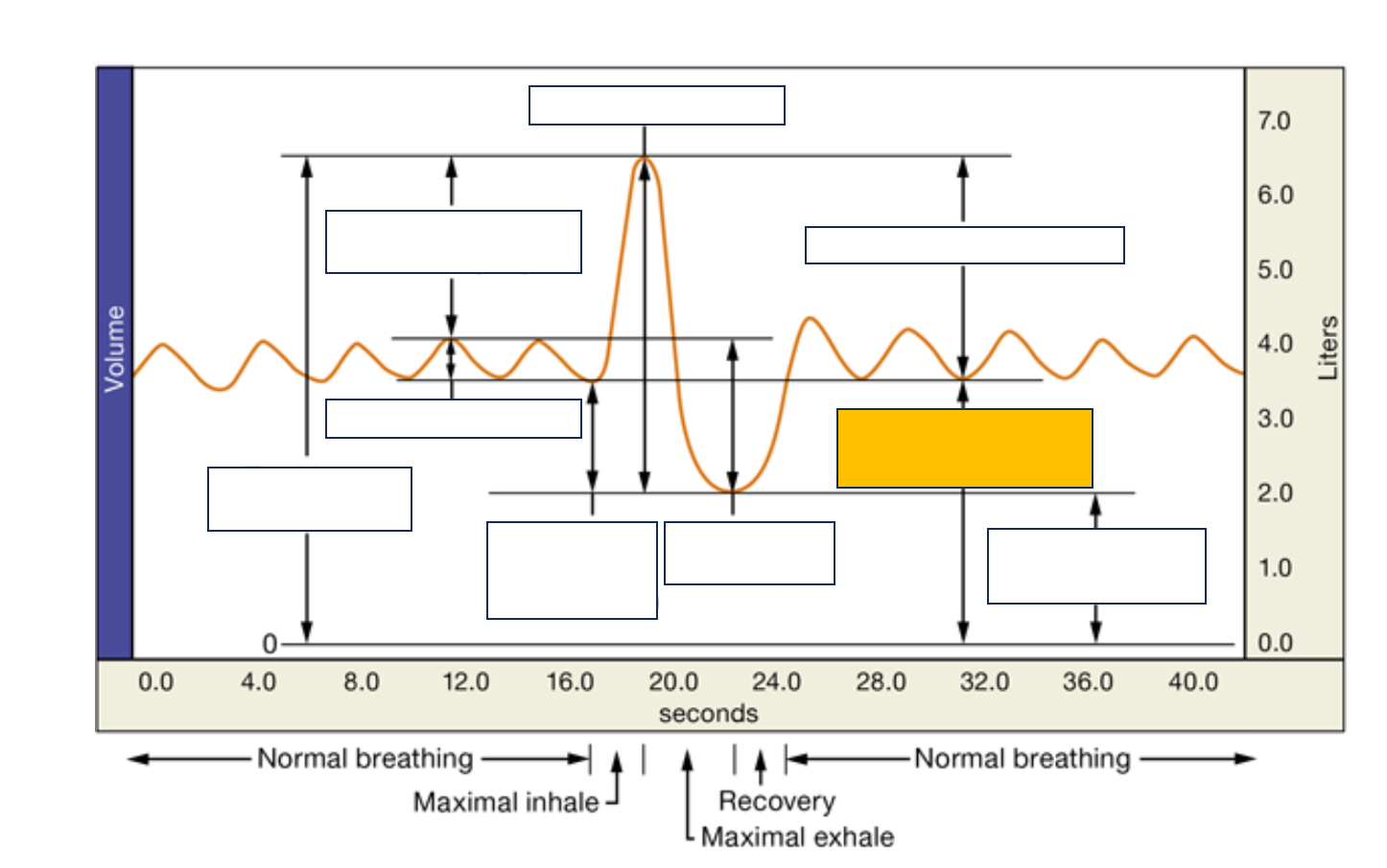 <p>name and def.</p>