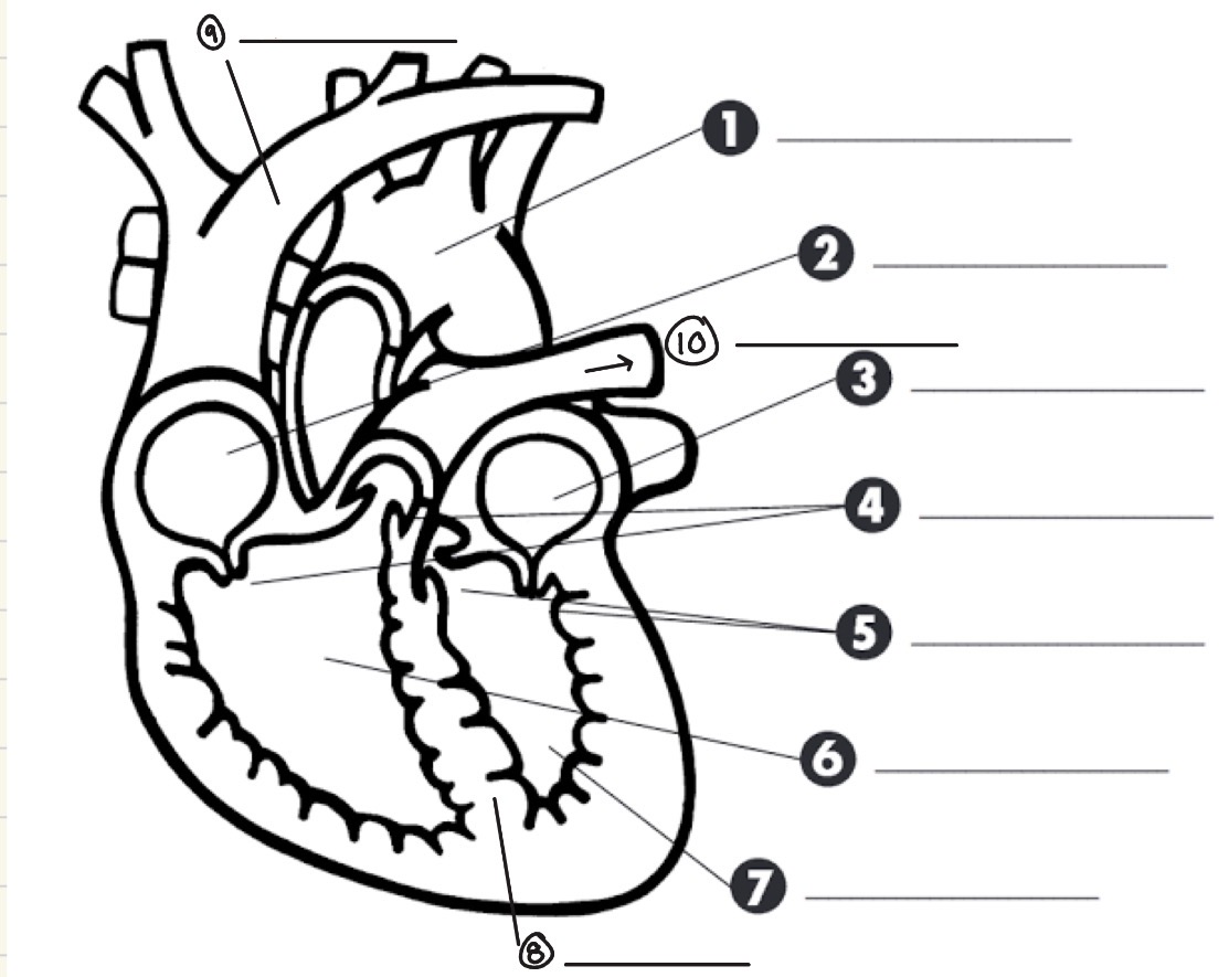 <p>10)</p>