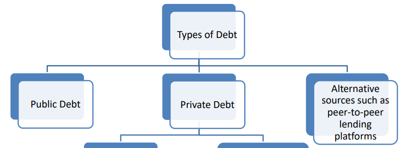 <ul><li><p>Public debt</p></li><li><p>Private debt</p></li></ul><p></p>