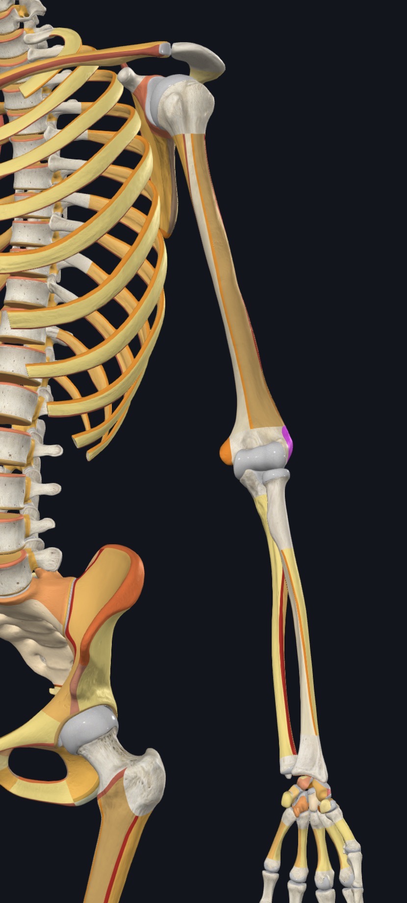 <p>what is this?</p>