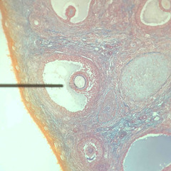 <p>Identify this space.</p>