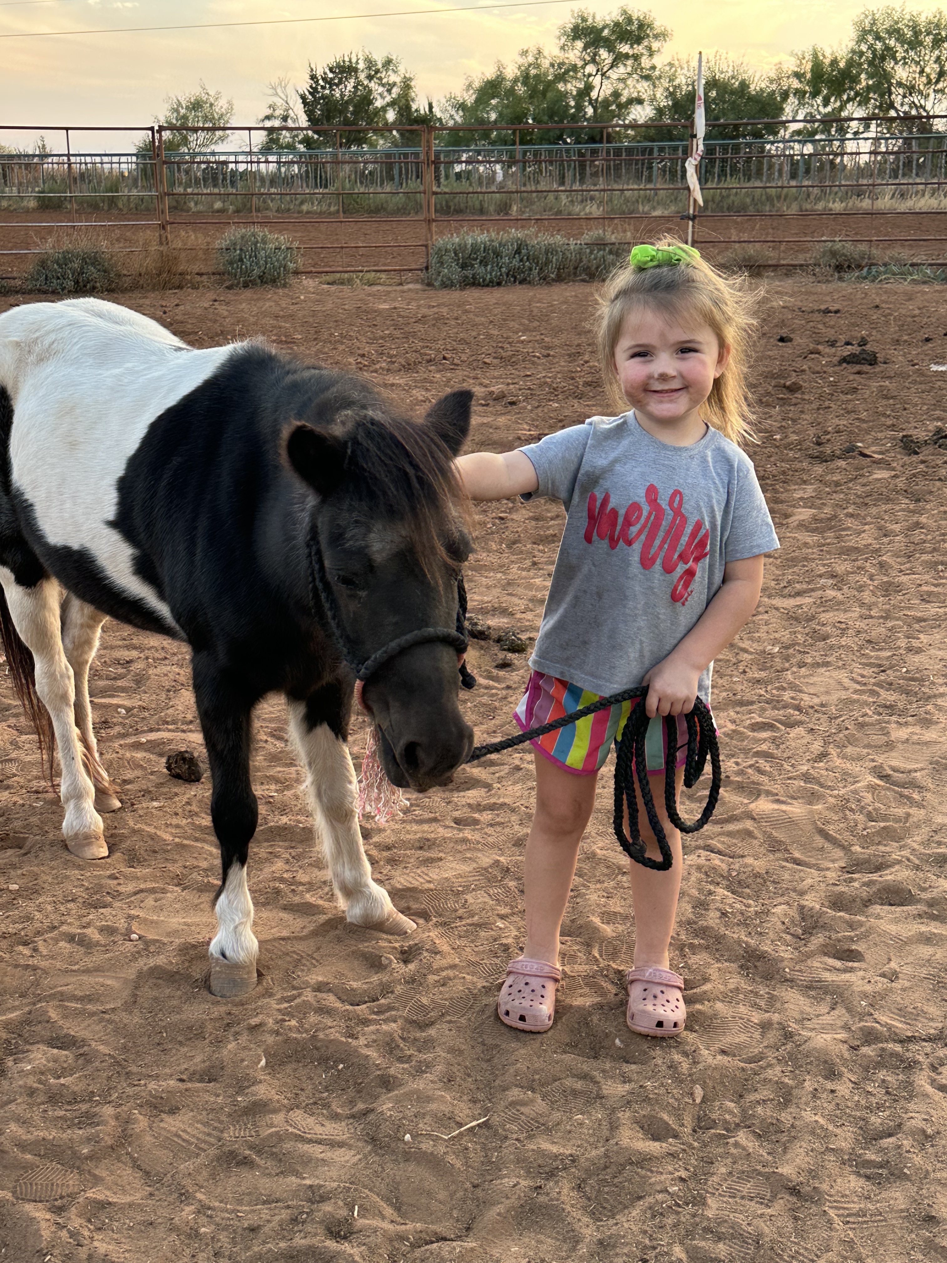 <p>Example item: Horse</p>