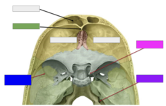 <p>This is the</p>