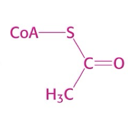 <p>what is this structure?</p>