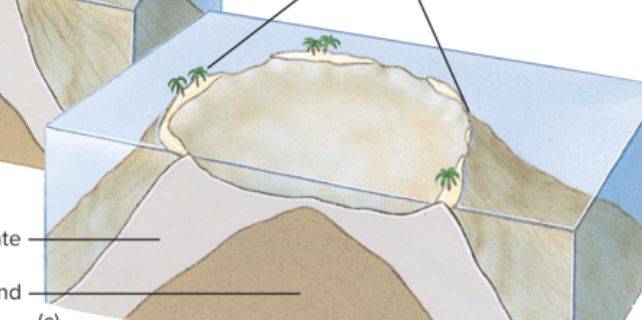 <p>island is fully gone and patchy small islands are left that surround a big lagoon, the reefs in between these</p>