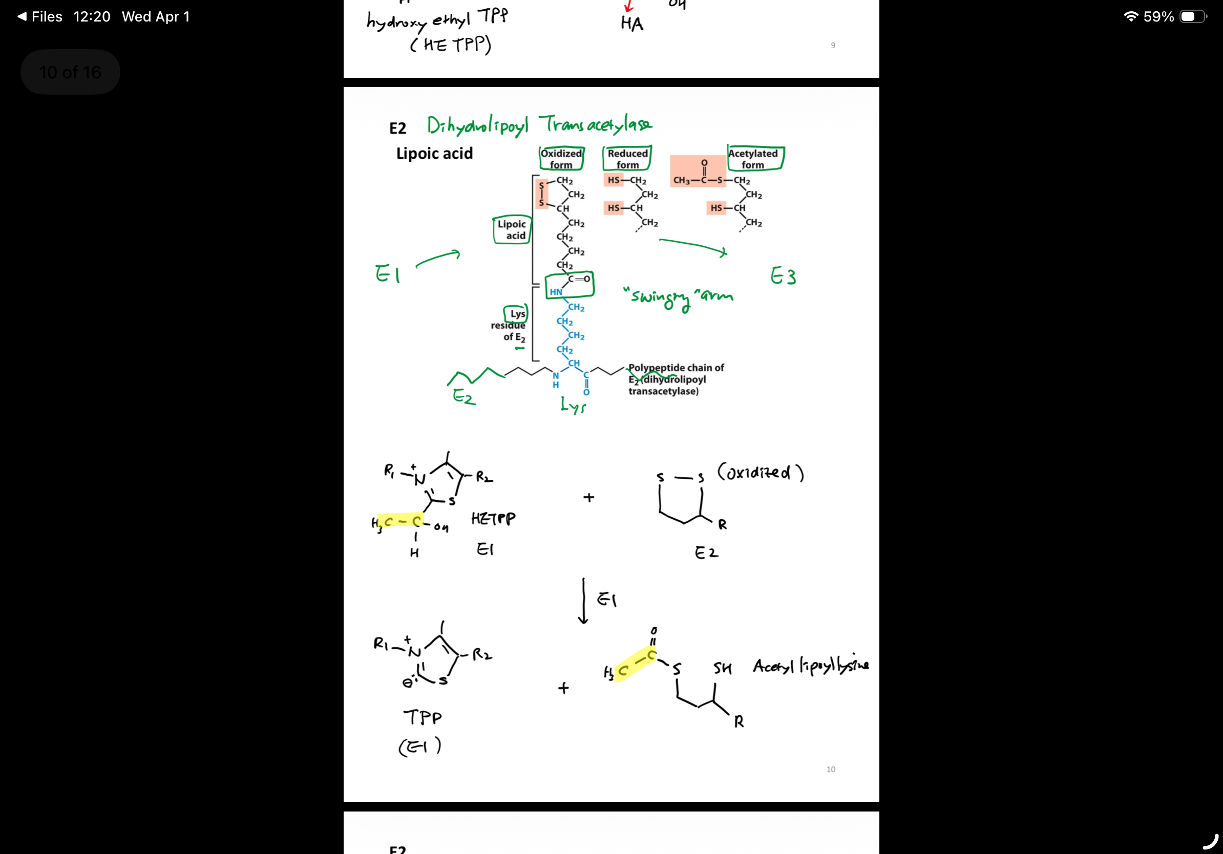 knowt flashcard image