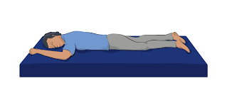 <p>Lying flat, face down with their back/dorsal side upwards</p>